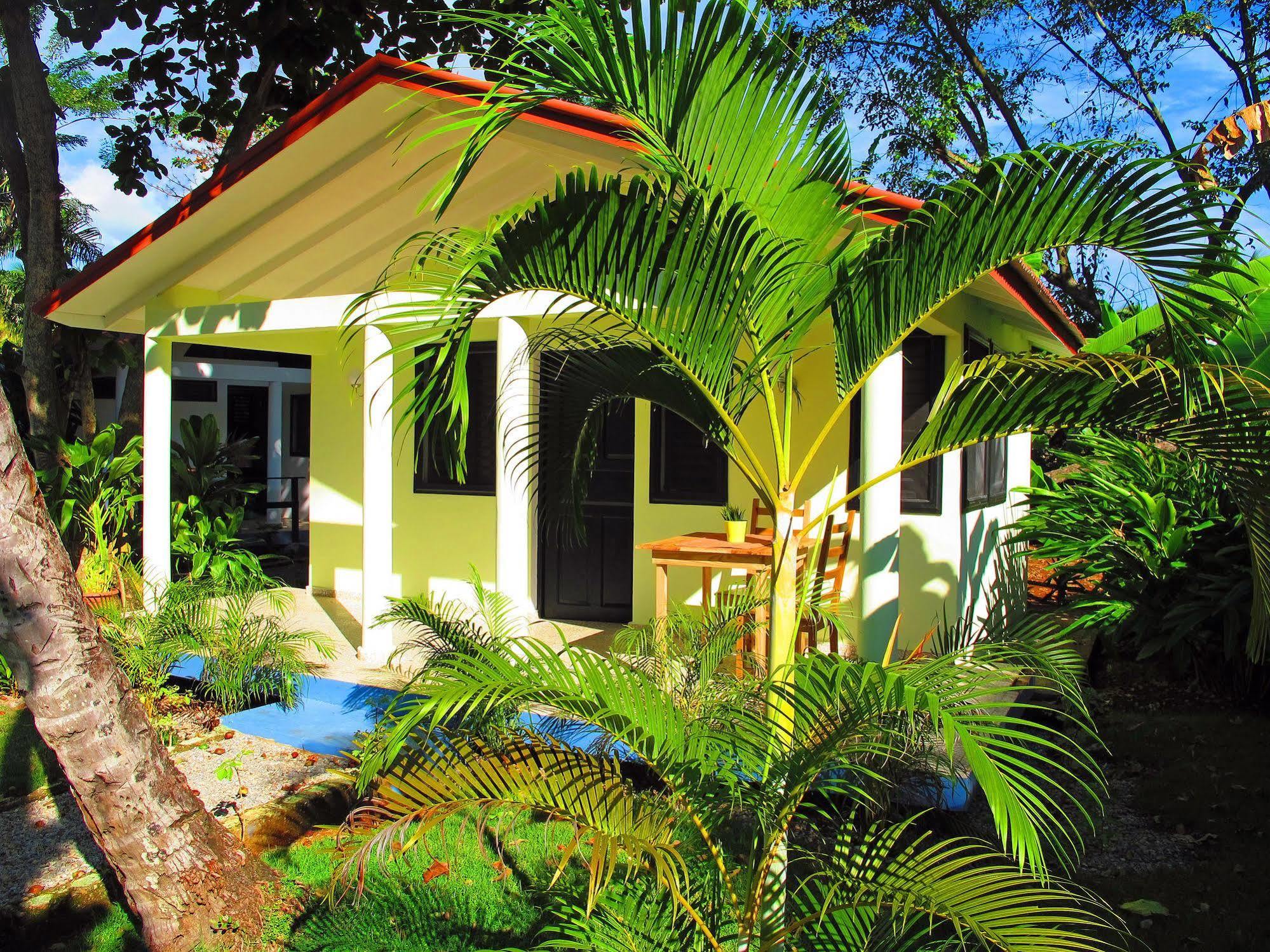 Bungalows Of Las Galeras Exterior foto
