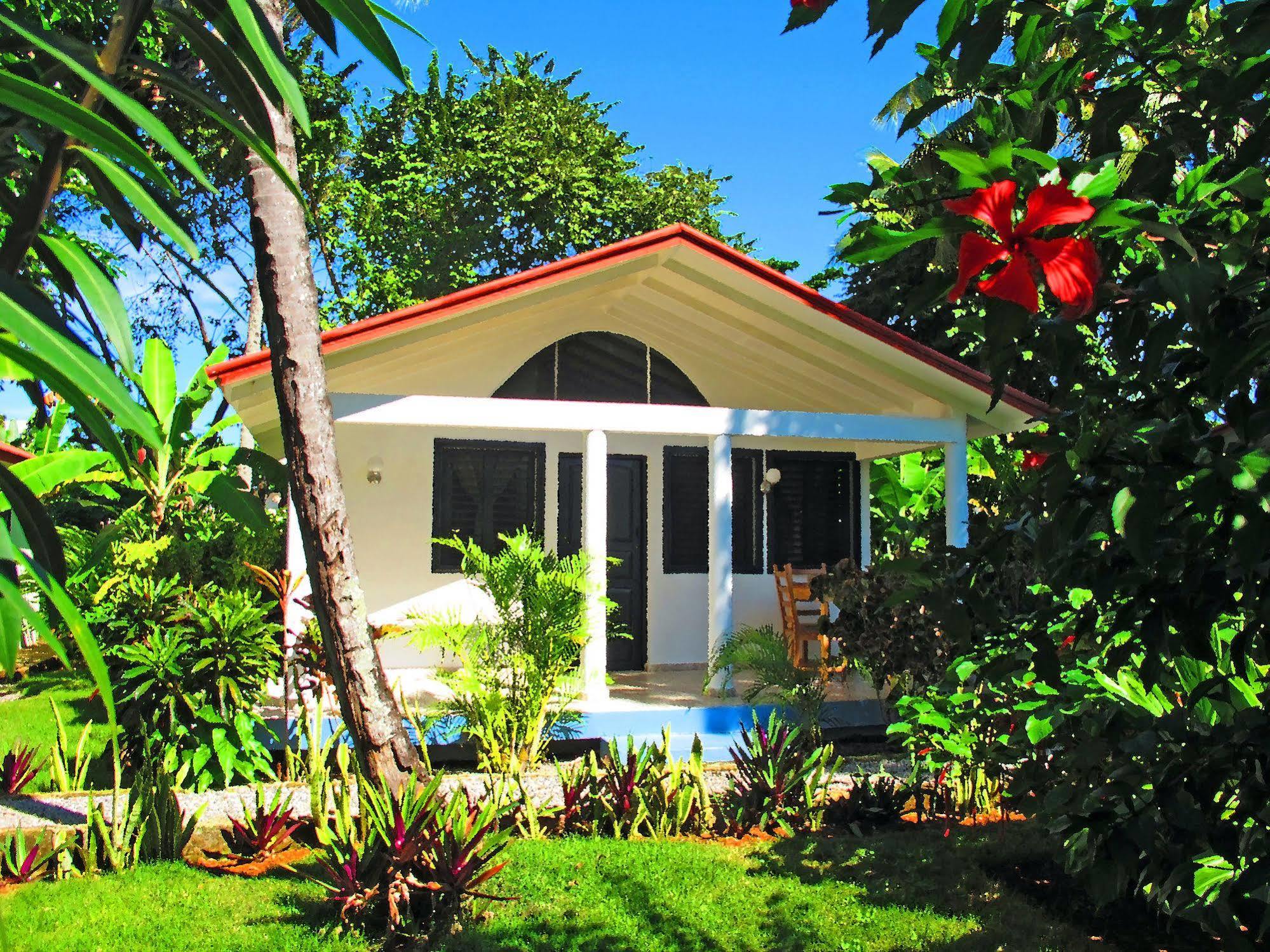 Bungalows Of Las Galeras Exterior foto