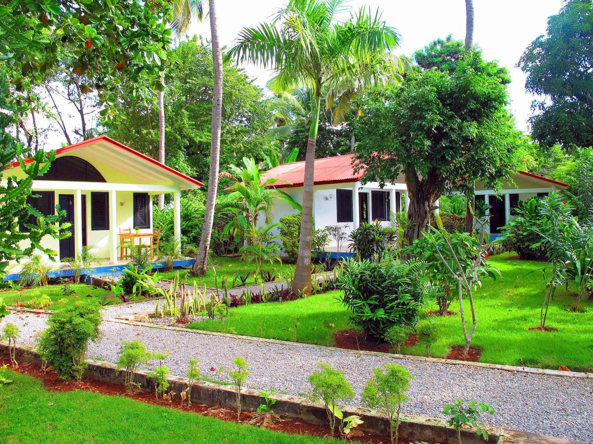 Bungalows Of Las Galeras Exterior foto